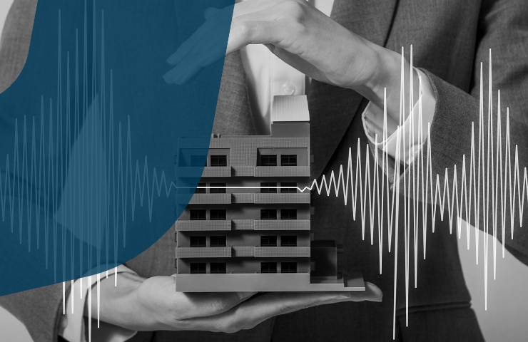 Principes de protection et de gestion de projets en parasismique